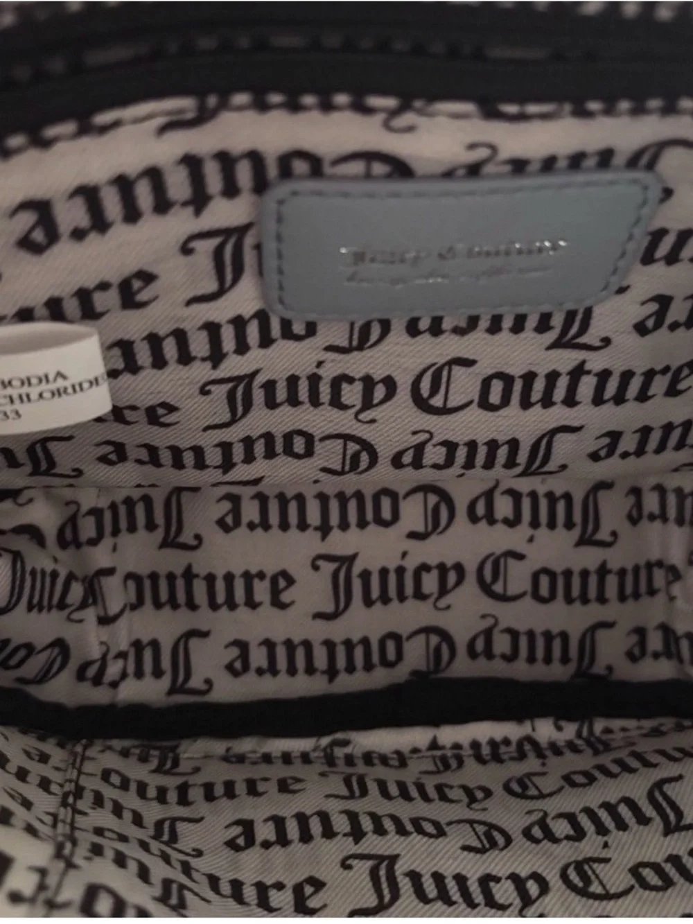 Juicy Couture Dusty Blue Crystal Crush Camera Crossbody (NWT).